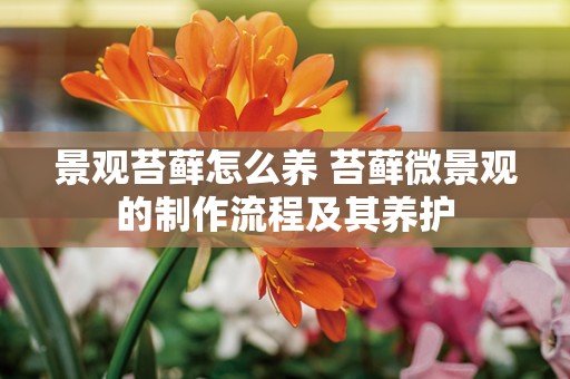 景观苔藓怎么养 苔藓微景观的制作流程及其养护