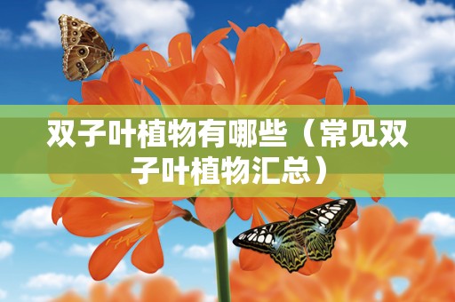 双子叶植物有哪些(常见双子叶植物汇总)