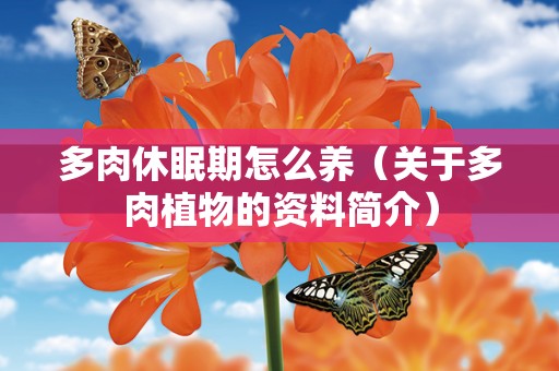 多肉休眠期怎么养（关于多肉植物的资料简介）