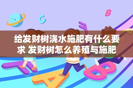 给发财树浇水施肥有什么要求 发财树怎么养殖与施肥和浇水