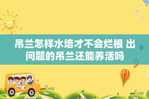 吊兰怎样水培才不会烂根 出问题的吊兰还能养活吗