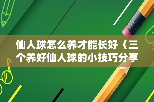 仙人球怎么养才能长好（三个养好仙人球的小技巧分享）