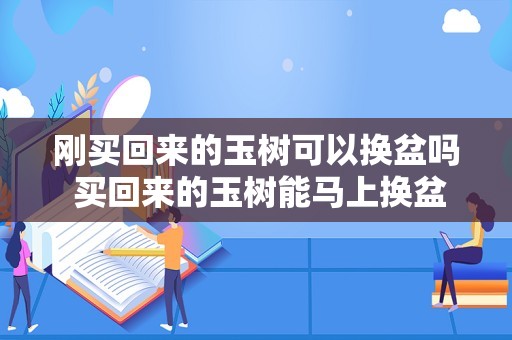 刚买回来的玉树可以换盆吗 买回来的玉树能马上换盆吗