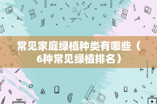 常见家庭绿植种类有哪些（6种常见绿植排名）