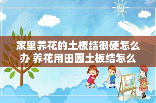 家里养花的土板结很硬怎么办 养花用田园土板结怎么办