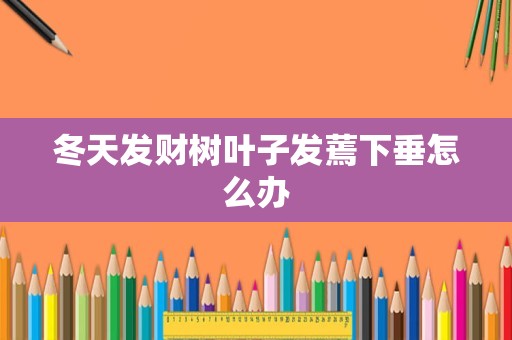 冬天发财树叶子发蔫下垂怎么办