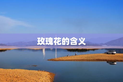 玫瑰花的含义