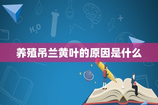 养殖吊兰黄叶的原因是什么