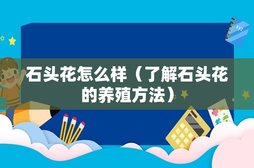 石头花怎么样（了解石头花的养殖方法）