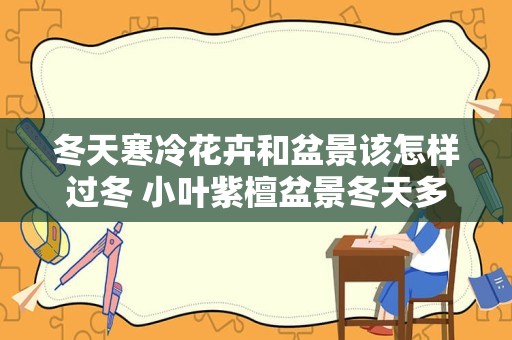 冬天寒冷花卉和盆景该怎样过冬 小叶紫檀盆景冬天多少度才能过冬
