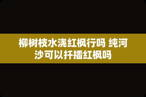 柳树枝水浇红枫行吗 纯河沙可以扦插红枫吗