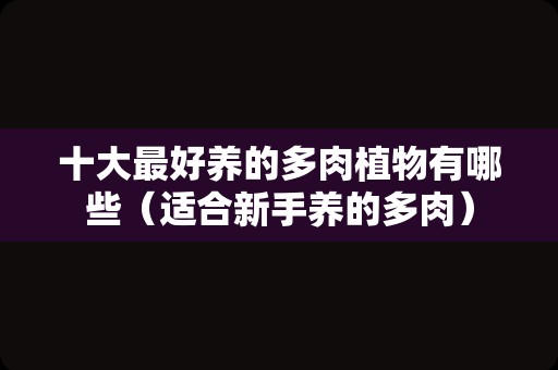 十大最好养的多肉植物有哪些（适合新手养的多肉）