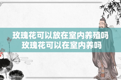玫瑰花可以放在室内养殖吗 玫瑰花可以在室内养吗