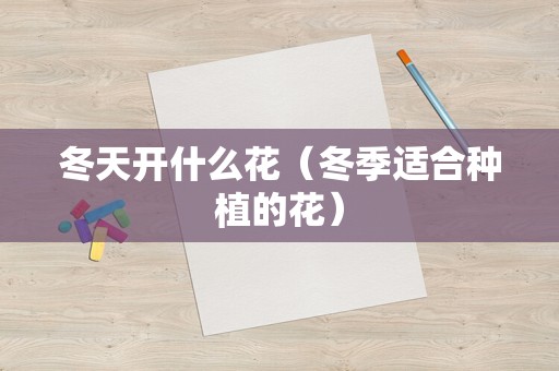 冬天开什么花（冬季适合种植的花）