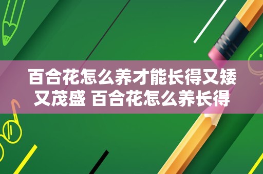 百合花怎么养才能长得又矮又茂盛 百合花怎么养长得茂盛