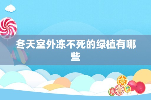 冬天室外冻不死的绿植有哪些