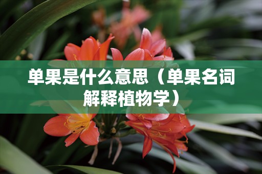 单果是什么意思（单果名词解释植物学）