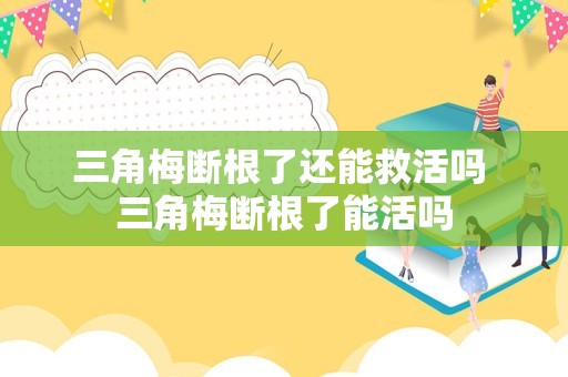 三角梅断根了还能救活吗 三角梅断根了能活吗
