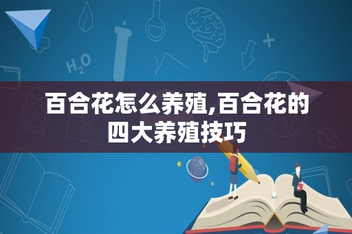 百合花怎么养殖,百合花的四大养殖技巧