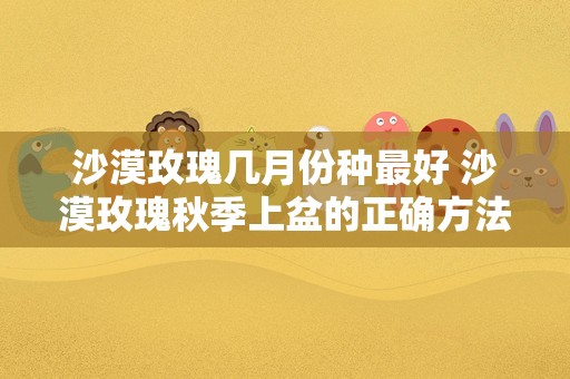 沙漠玫瑰几月份种最好 沙漠玫瑰秋季上盆的正确方法