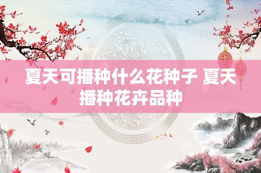 夏天可播种什么花种子 夏天播种花卉品种