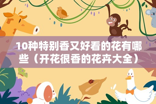 10种特别香又好看的花有哪些（开花很香的花卉大全）