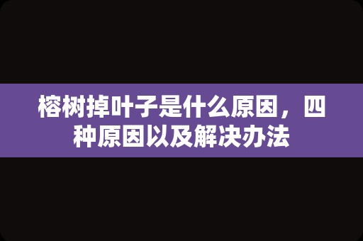 榕树掉叶子是什么原因，四种原因以及解决办法