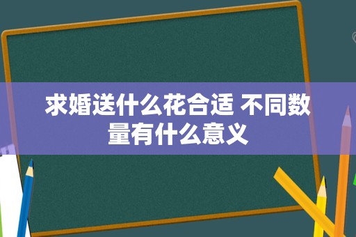 求婚送什么花合适 不同数量有什么意义