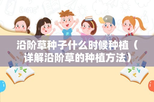 沿阶草种子什么时候种植（详解沿阶草的种植方法）