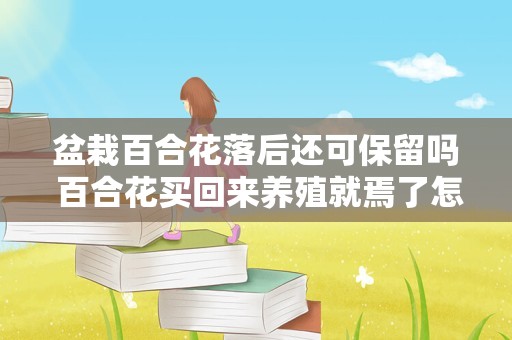 盆栽百合花落后还可保留吗 百合花买回来养殖就焉了怎么回事