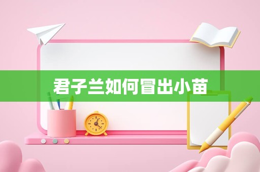 君子兰如何冒出小苗