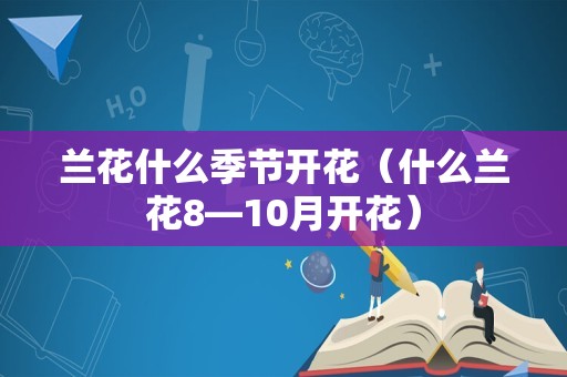 兰花什么季节开花（什么兰花8—10月开花）