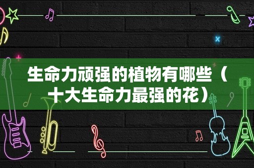 生命力顽强的植物有哪些（十大生命力最强的花）