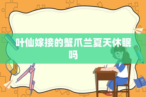 叶仙嫁接的蟹爪兰夏天休眠吗