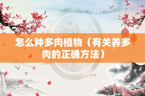 怎么种多肉植物（有关养多肉的正确方法）