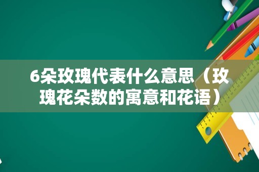 6朵玫瑰代表什么意思（玫瑰花朵数的寓意和花语）