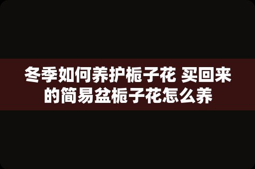 冬季如何养护栀子花 买回来的简易盆栀子花怎么养