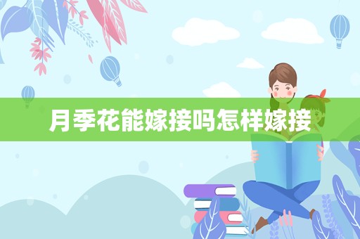 月季花能嫁接吗怎样嫁接