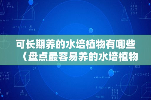 可长期养的水培植物有哪些（盘点最容易养的水培植物）