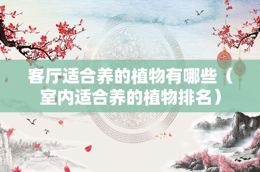 客厅适合养的植物有哪些（室内适合养的植物排名）