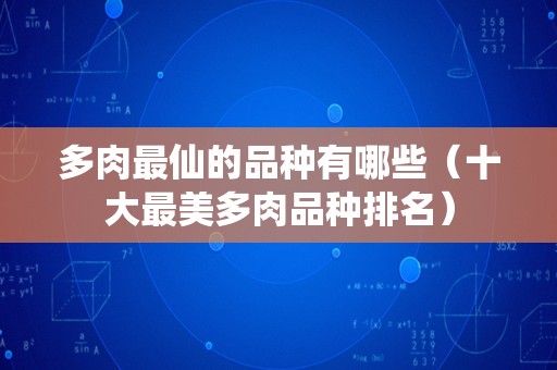 多肉最仙的品种有哪些（十大最美多肉品种排名）