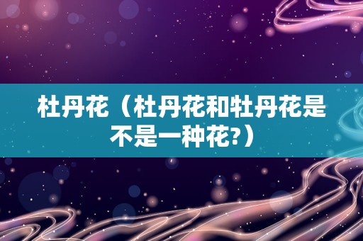 杜丹花（杜丹花和牡丹花是不是一种花?）