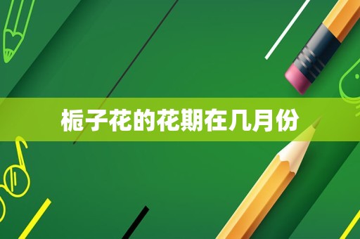 栀子花的花期在几月份