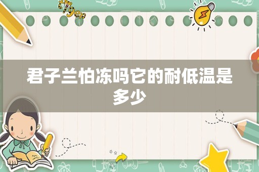 君子兰怕冻吗它的耐低温是多少