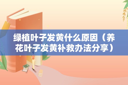 绿植叶子发黄什么原因（养花叶子发黄补救办法分享）