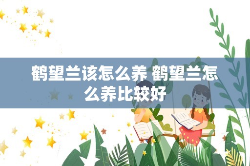 鹤望兰该怎么养 鹤望兰怎么养比较好
