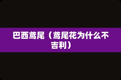 巴西鸢尾（鸢尾花为什么不吉利）