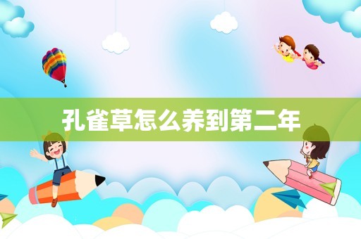 孔雀草怎么养到第二年