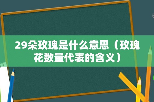 29朵玫瑰是什么意思（玫瑰花数量代表的含义）