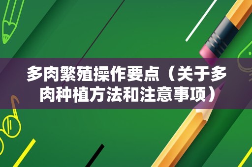 多肉繁殖操作要点（关于多肉种植方法和注意事项）